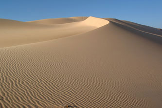 Sinai Sand Dune